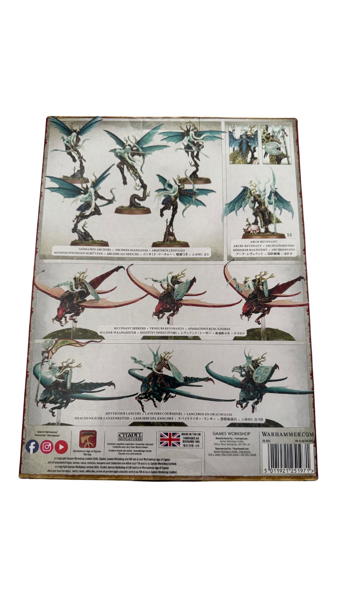 AoS Spearhead Sylvaneth Spitewing Flight | 12 Citadel Miniatures