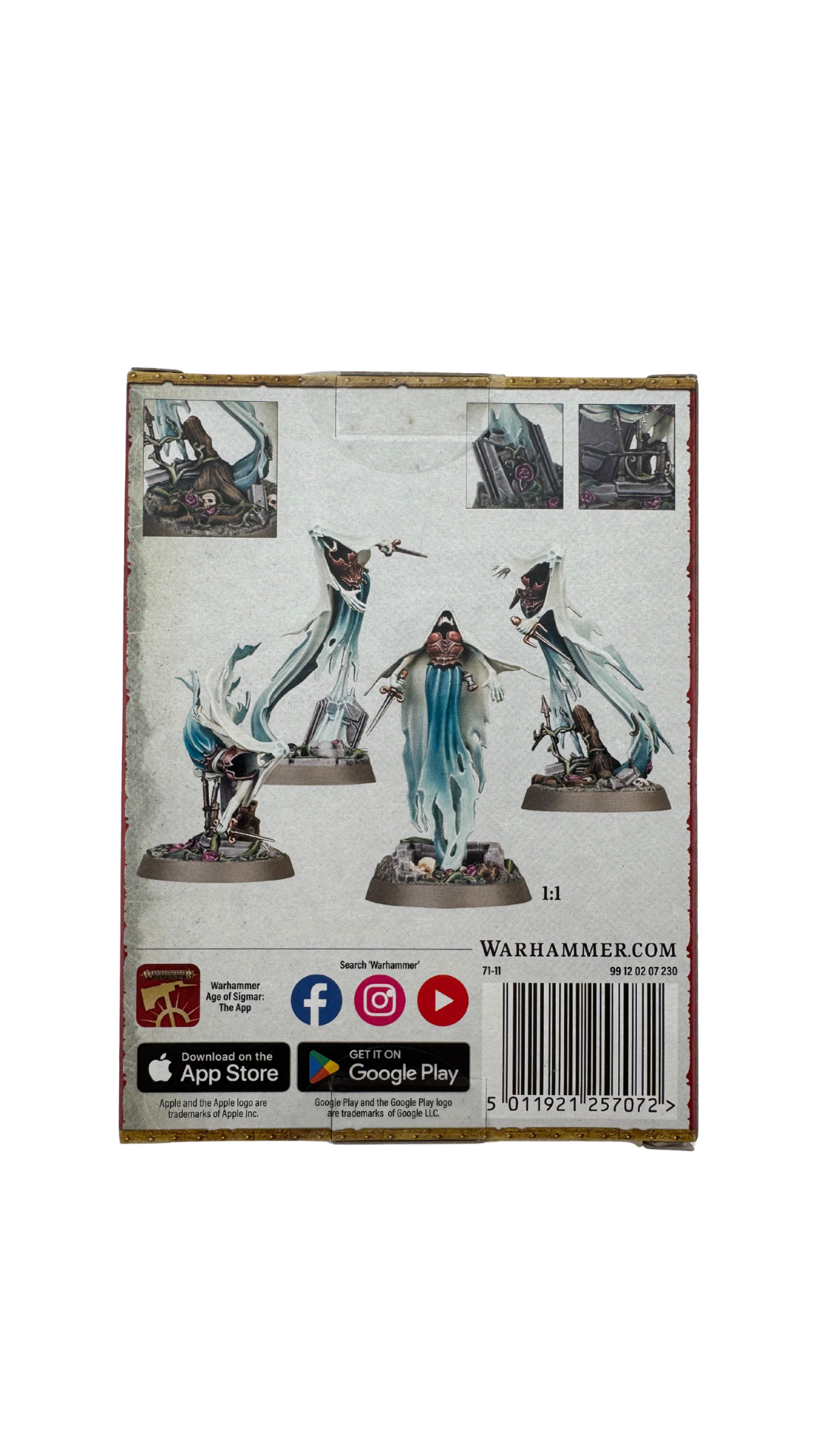 Warhammer Age of Sigmar: Nighthaunt Myrmourn Banshees (71-11)
