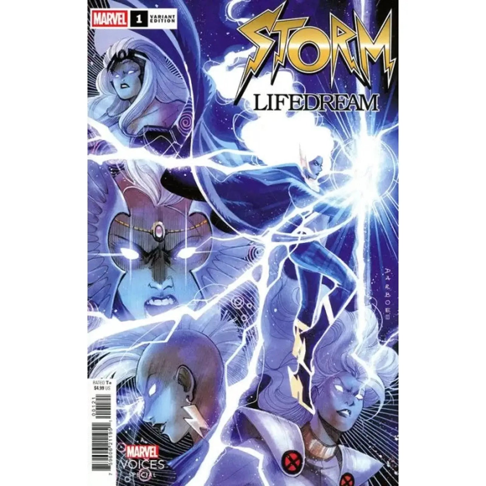 Storm: Lifedream 1B Karen S. Darboe Variant - MOD Shop LLC